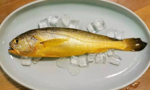 窝窝头的营养及功效-高营养窝头网-分享窝窝头营养成分，窝头的营养价值和功效知识库
