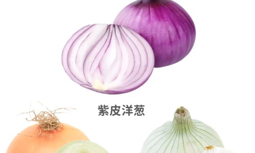 窝窝头的营养及功效-高营养窝头网-分享窝窝头营养成分，窝头的营养价值和功效知识库